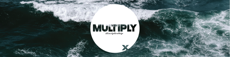 Multiply.3.9 10 Website 800x200 1