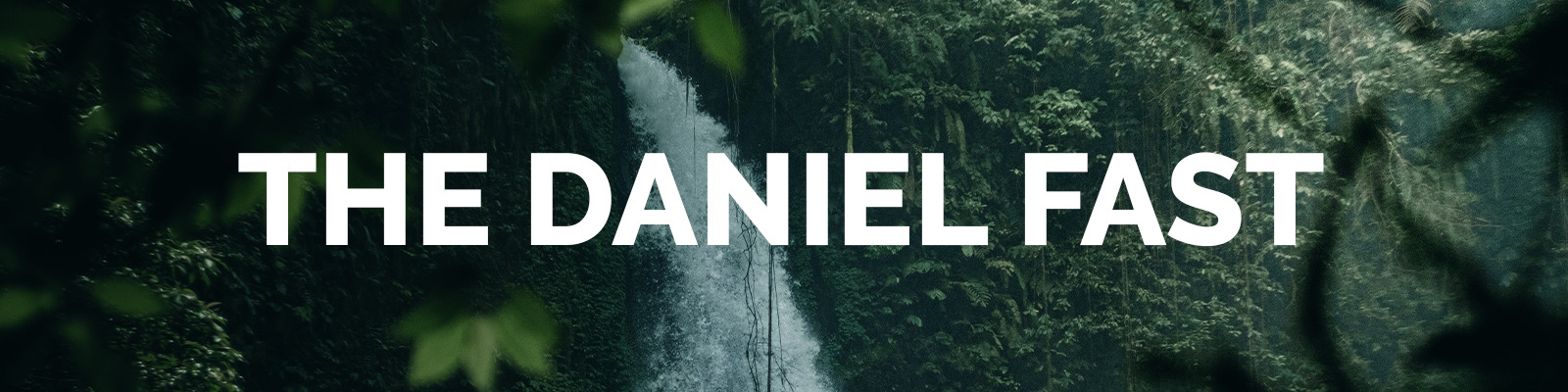 Daniel-Fast-WEBSITE