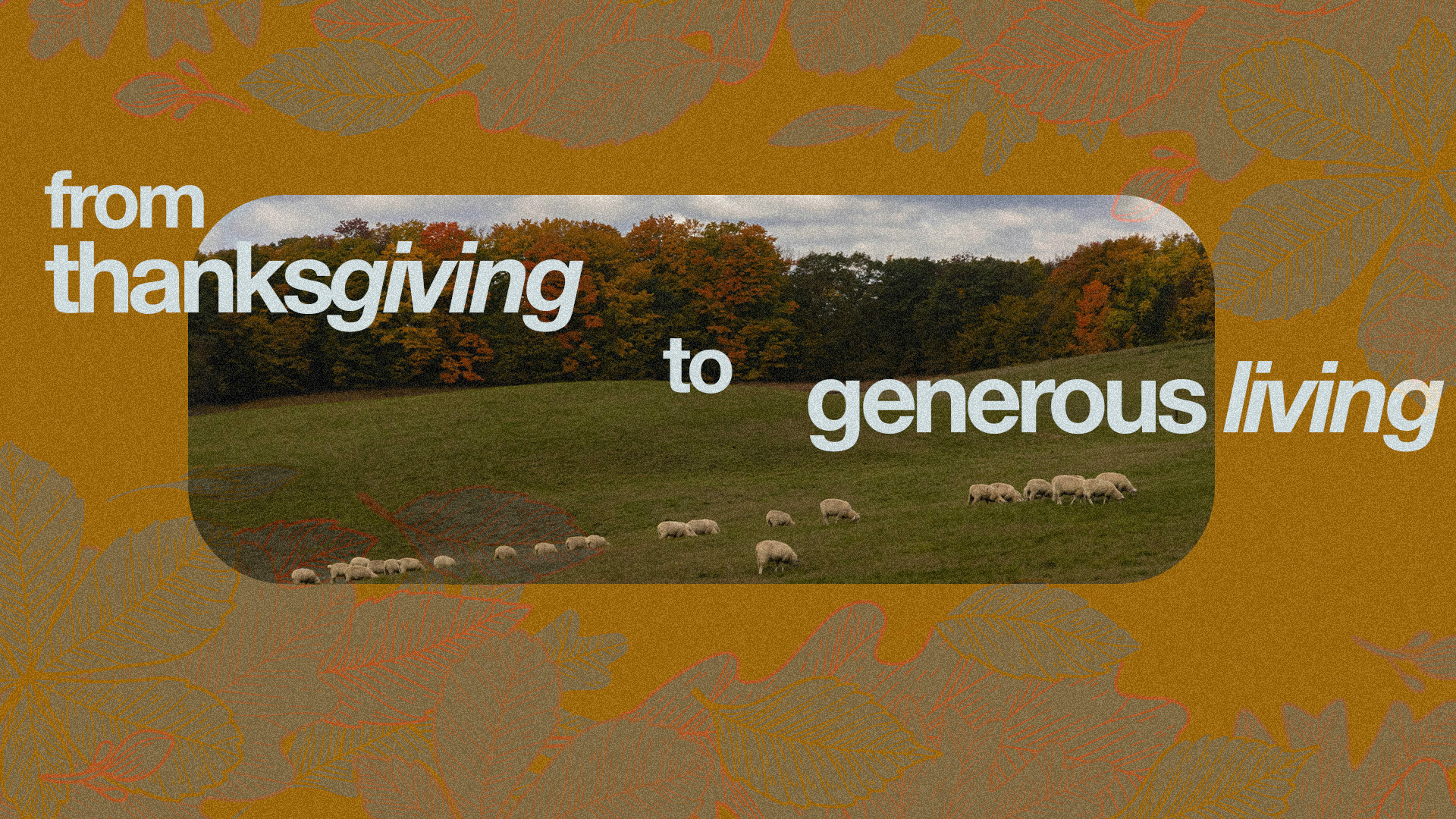 Thanksgiving 1080